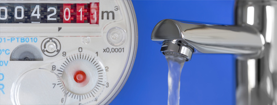 Als Hausbesitzer regelmäßig den Hauswasserfilter wechseln